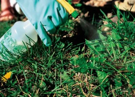 Ce este agrokiller