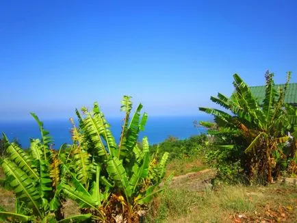 Așa cum am mers în Thailanda