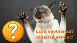 Cat mi-a scris