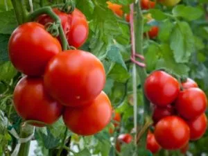rotten Tomatoes