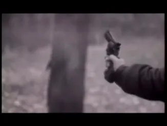 Ce părere aveți despre Artek