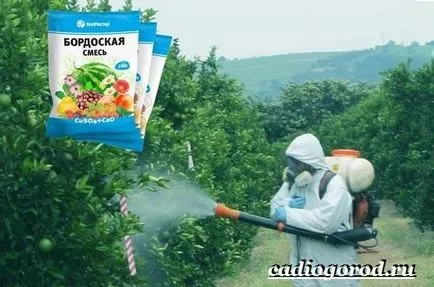 Bordovskaya se amesteca