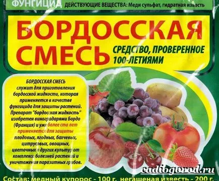 Bordovskaya se amesteca