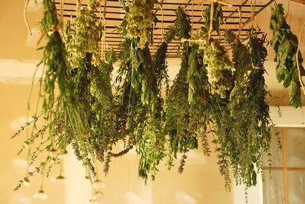 Alimentarea și ca o capră Alimentarea și ca o capră