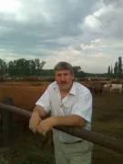 Ceea ce rămâne din română Ceea ce rămâne din română