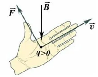 Care este vectorul inducție magnetică