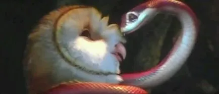 Ce este BDRip DVDRip