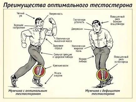 Acest lucru se referă la temperamentul Acest lucru se referă la temperamentul