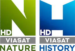 Ce este Viasat