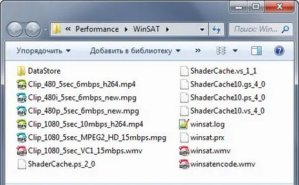 WinSAT-l exe
