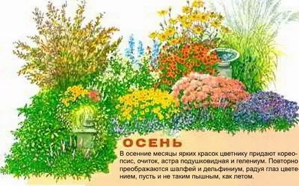 Cum de a face paturi de flori cu propriile lor mâini Cum de a face paturi de flori cu propriile lor mâini