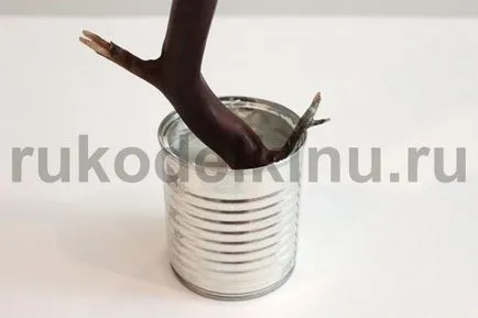 copac bani cu mâinile lor de la reduceri