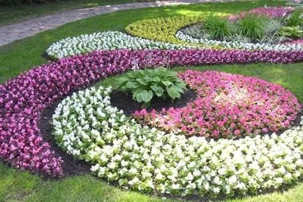 Cum de a face paturi de flori cu propriile lor mâini Cum de a face paturi de flori cu propriile lor mâini