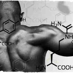 ecdysterone ce