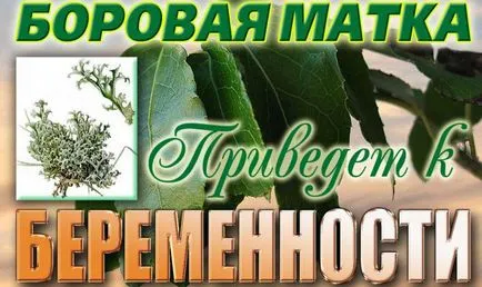 Endometrioza tratamente populare
