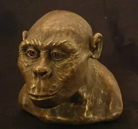 Ce este un humanoid