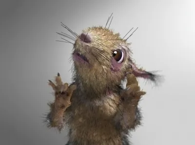 Traducere nouă, care este