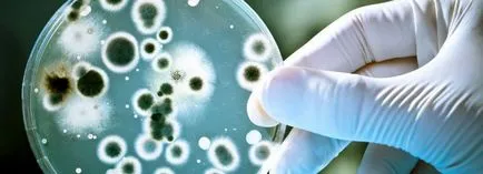 Cum de a trata vaginita bacteriana Cum de a trata vaginita bacteriana