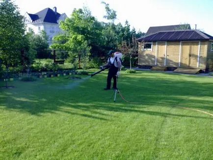 Cum să semene toată iarba de gazon Cum să semene toată iarba de gazon