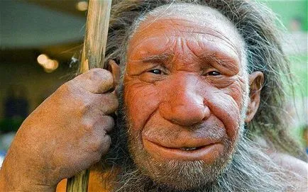 Ce este un humanoid