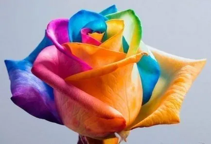 Ce este de ajutor dulce Ce este de ajutor dulce