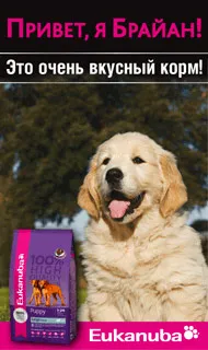 Canin Royal hrănire pentru
