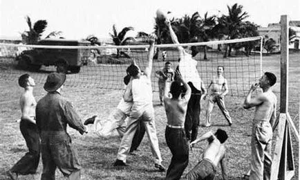 Volei ca un sport