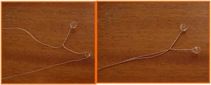 Ce panglicilor