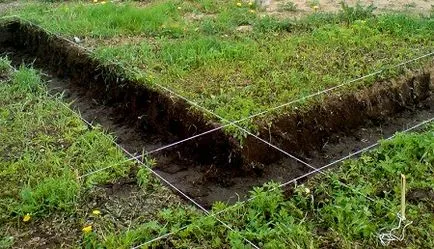 De unde se poate construi o casă cu propriile sale mâini