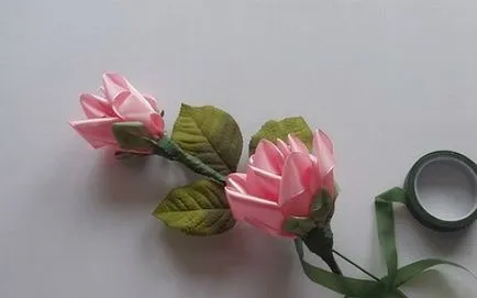 Ce panglicilor