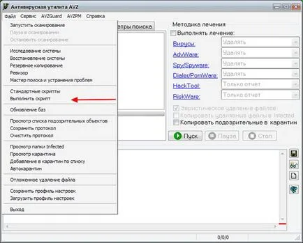 Cum de a executa script-ul vz