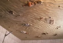 Cum la tavan în baie Cum la tavan în baie
