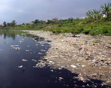 Cum de a obține rapid scăpa de viermi Cum de a obține rapid scăpa de viermi
