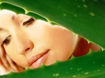 Ceea ce face Aloe