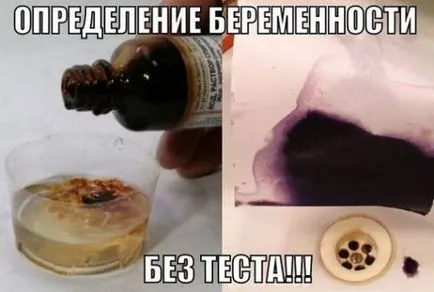 Puteți defini o sarcină acasă Puteți defini o sarcină acasă