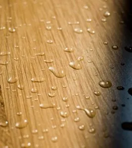 Cum de a alege culoarea de laminat Cum de a alege culoarea de laminat