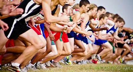 Maestru de sport de clasă internațională