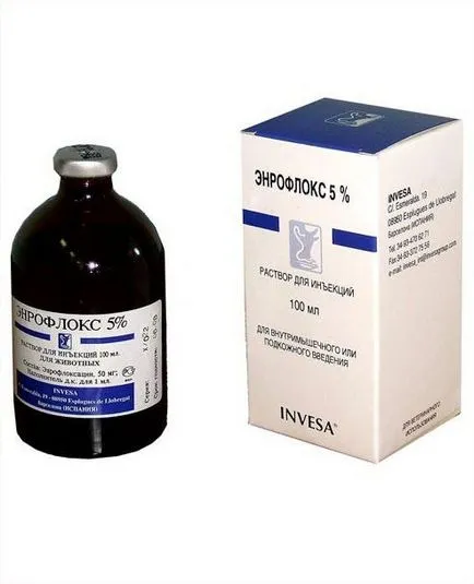 pui antibiotice pui antibiotice