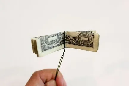 copac bani cu mâinile lor de la reduceri copac bani cu mâinile lor de la reduceri