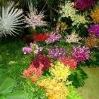 Cum de a face paturi de flori cu propriile lor mâini Cum de a face paturi de flori cu propriile lor mâini