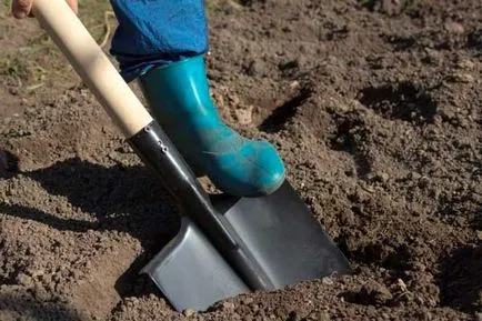 Cum să semene toată iarba de gazon Cum să semene toată iarba de gazon