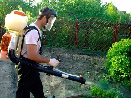 Cum să semene toată iarba de gazon Cum să semene toată iarba de gazon
