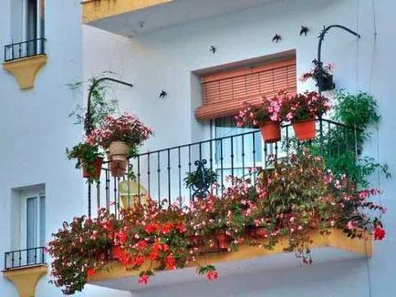 Flori în creștere pe balcon