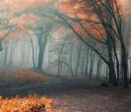 Cum a făcut lumea noastră