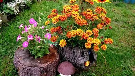 Cum de a face paturi de flori cu propriile lor mâini Cum de a face paturi de flori cu propriile lor mâini