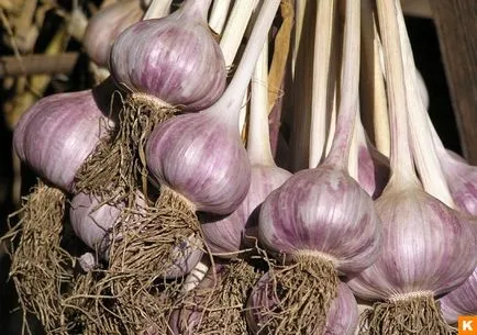 Ce va fi în acest an, atunci când Ce va fi în acest an, atunci când
