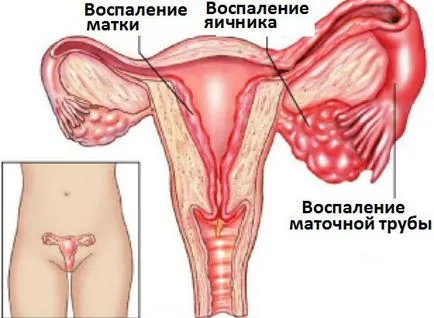 evidenția Întuneric că aceasta poate fi evidenția Întuneric că aceasta poate fi