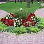 Cum de a face paturi de flori cu propriile lor mâini