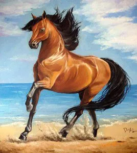 Scăldat IT Red Horse