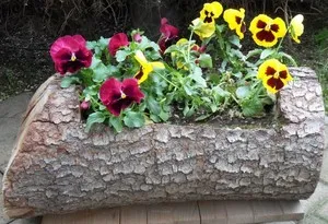 Cum de a face paturi de flori cu propriile lor mâini